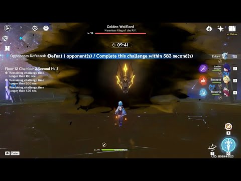 C0 Eula Raiden 1 Shot Golden Wolflord in Abyss