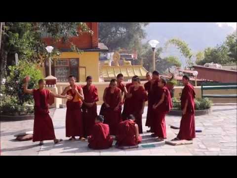 Debating Monks Kopan Monastry