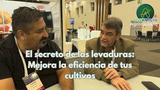 El secreto de las levaduras: Mejora la eficiencia de tus cultivos