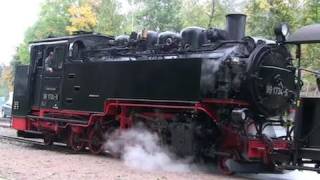 preview picture of video 'Dampflok: Herbstdampf der Weißeritztalbahn - Steam Train - Teil 1/2'