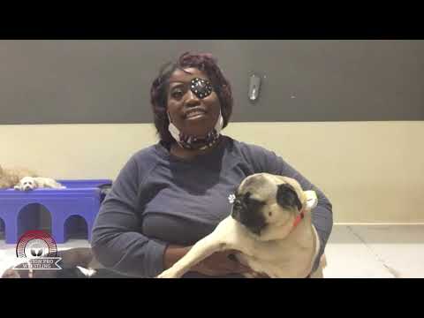 The W.O.A.D. returns to Mission Pro May 1st!