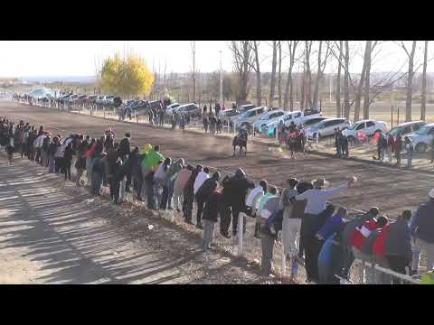 AMIGUITO  Club Hípico Cipriano Catriel - Catriel - Rio Negro - 04-06-2023