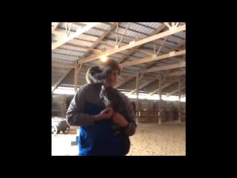 German 3 music video ich Liebe diese Tage