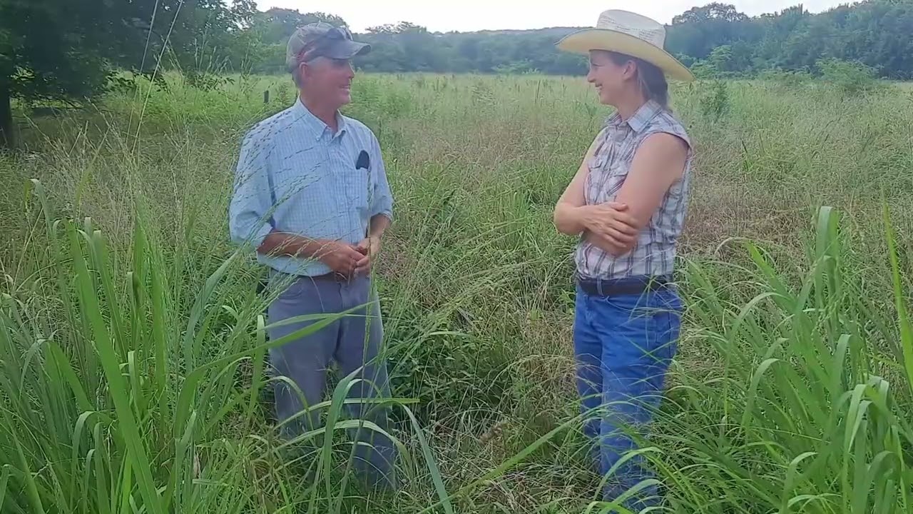 Success at Overseeding Natives without Herbicides! (Into Introduced Cool Season Grass Pasture)