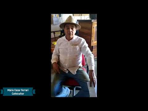 Tecnologia para colheita do café em montanhas causa impacto de R$ 770 milhões na safra 2019