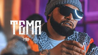 Tema Lyrics English Translation