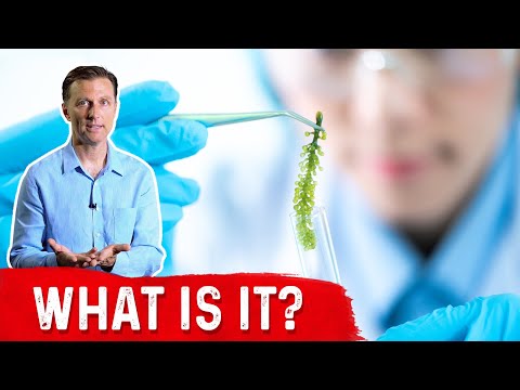 An APPLE a Day Will NOT Let Your Weight Go Away – Dr Berg