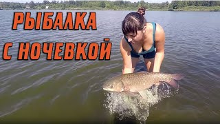 Рыбалка в брянской области на карпа и карася