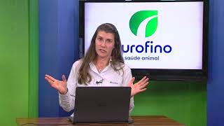 Controle de salmonella em frangos