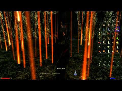 Let's play Gothic 2 DNDR 230 Ein weiterer Feuerdrache