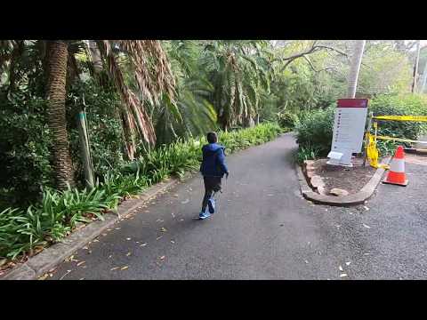 Brisbane Park - July 2019