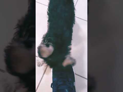 peach Zulay 3 months