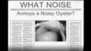 What Noise?