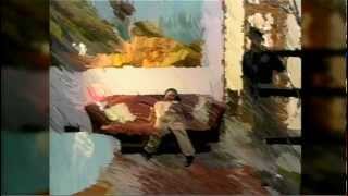 The Red "hey I love you" Van Gogh music video