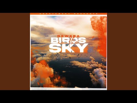 Birds In The Sky (Protein Bor Remix)