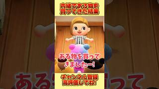 子供たちに内緒である物を買ってきた結果、、 #あつ森 #あつまれどうぶつの森 #shorts