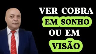 SIGNIFICADO DE VER COBRA EM SONHO OU EM VISÃO.