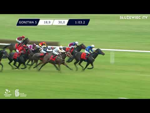 23.10.2021 (D44; G5; Tor: 3,3; 7°C) Nagroda Criterium - L (kat.A)