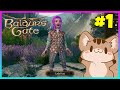 Lady Futa Lord Sh Tface Baldurs Gate 3 Part 1 Squire Stream