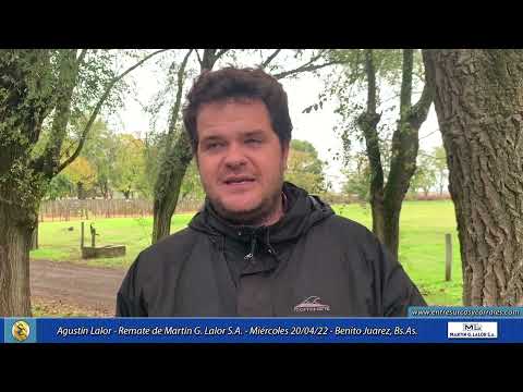 20-04-22 - Agustín Lalor - Remate de Martín G. Lalor S.A. - Benito Juarez, Bs.As.