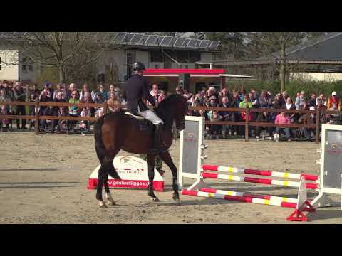 10 Diamant De Casall 1408748