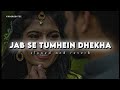 Jab Se Tumhein Dhekha Slow Reverb Udit Narayan Anuradha Paudwal Akshaye K Sonali B Lofi
