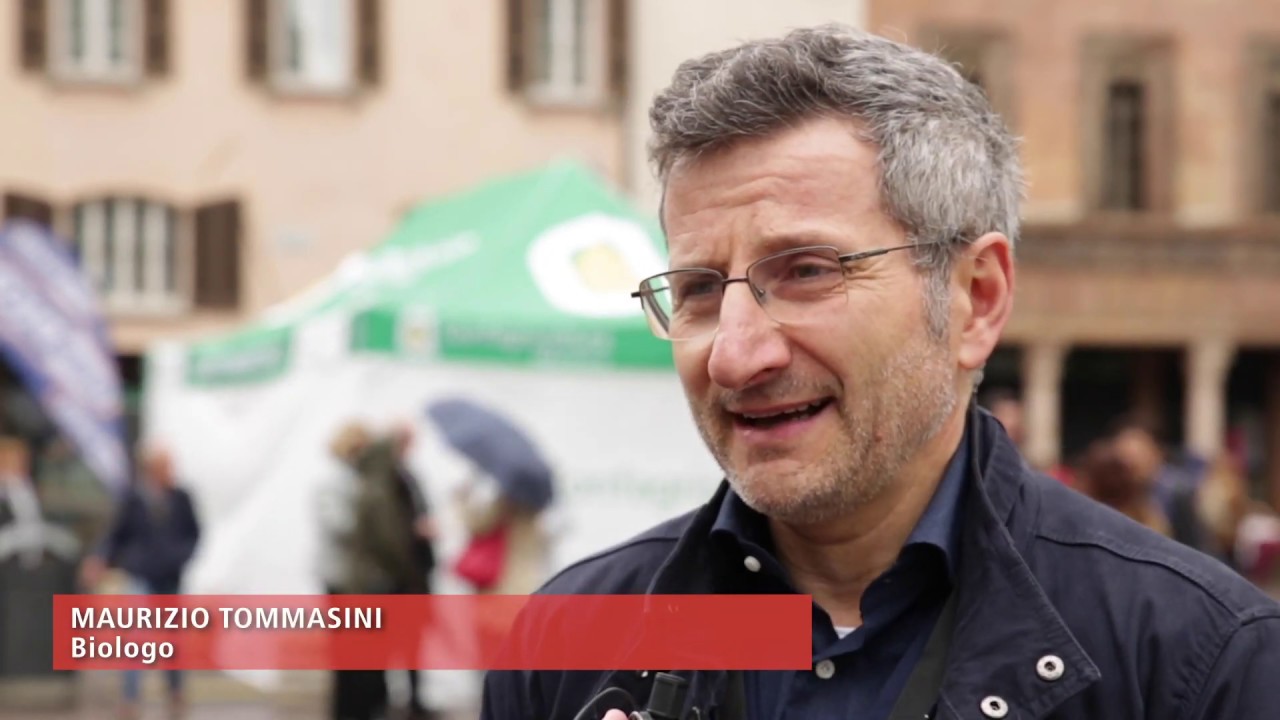 Maurizio Tommasini-33