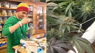 Recreational marijuana sales begin in NJ: What to know