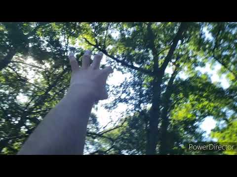 Tom the Hand 4x02: What Causes to Hang Out with Jo Misra and Dylan Kirrin (2020) - Tom Flings