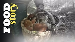 Thumbnail del capítulo