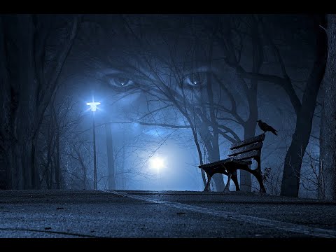 Tự tình - Quang Tuấn