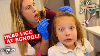 LICE at SCHOOL!!! 😱