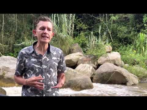 Voces del Páramo: El Caso de David Toloza