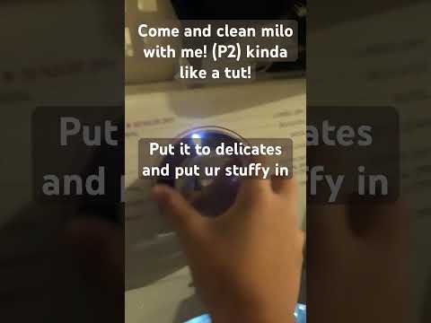 Yayyayayayyayayyaya #esa #essa #dog #emotionalsupportstuffedanimal