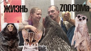 Жизнь ZOOCOMa. Все новости о дикобразах, сурикатах, АЛК, обезьянках и т.д.