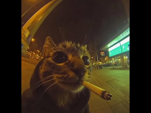 (free) post punk + eyedress + ekkstacy type beat 'regret' (@prod.davidgvr)