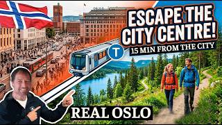 How to Experience Real Norwegian Nature Forest in Oslo  - Norway Travel Guide