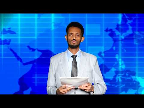 Warka Universal TV 24 02 2026