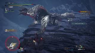 [MHWI]「失われた幽世線」初日初見攻略