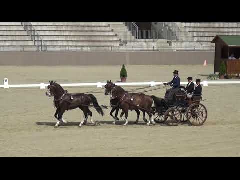 Luca CASSOTTANA (ITA) - CAI***, H4, Szilvásvárad (Hungary), dressage/díjhajtás, 15 July 2022