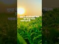 सुबह के सूरज की पहली किरण दिल को छू जात�