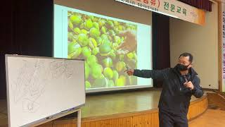 수정과 착과의 원리