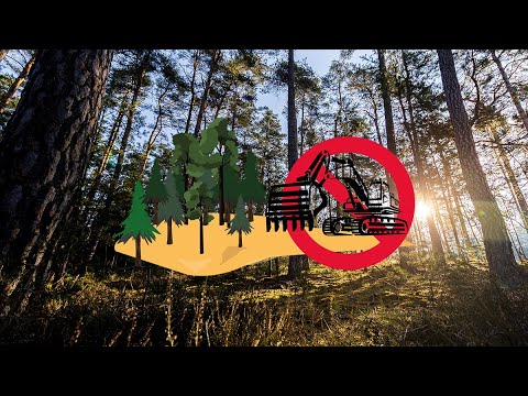 "Nein zum Sandabbau bei Altdorf" - Rettet den Röthenbacher Wald