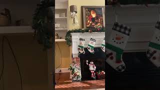 Walter Walking The Tight Rope