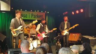 Depending on you Tom Petty tribute The Virtues