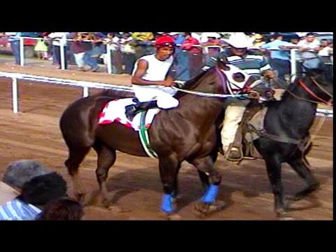 download lagu mp3 mp4 Carreras De Caballos Famosos, download lagu Carreras De Caballos Famosos gratis, unduh video klip Carreras De Caballos Famosos