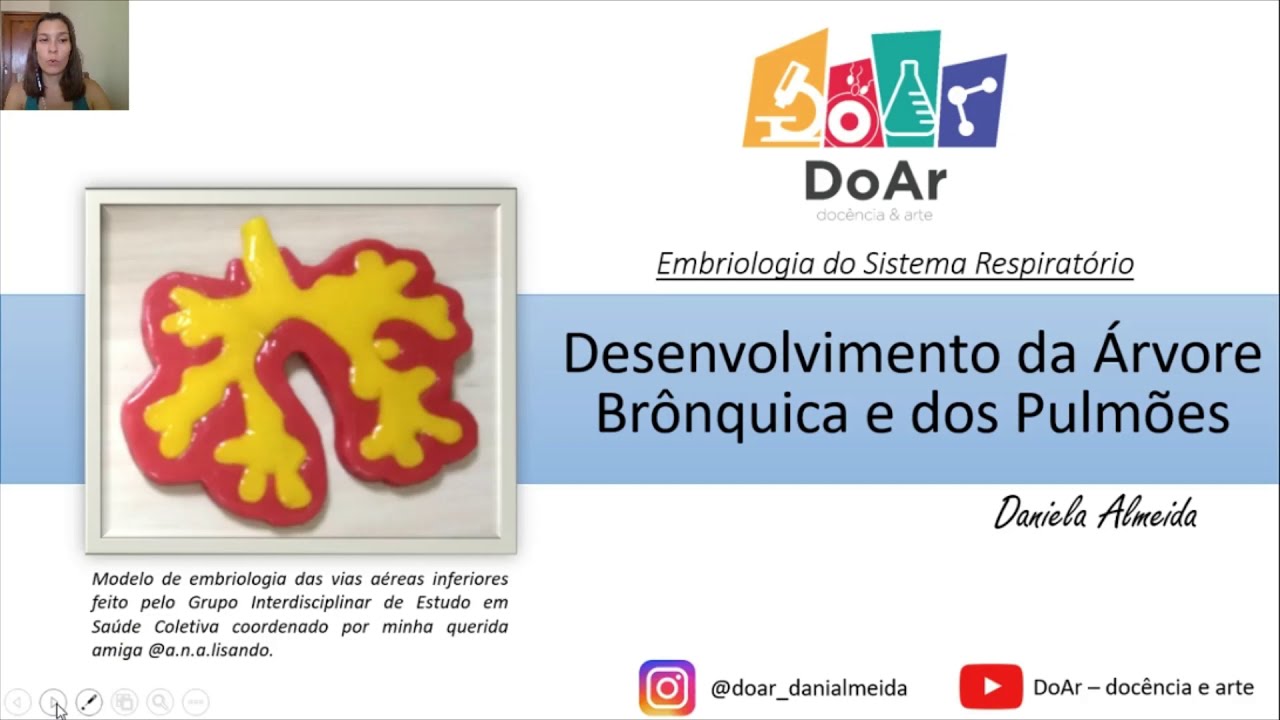Embriologia da Árvore Brônquica e Pulmão