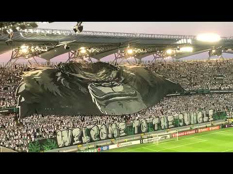 Oprawa "Welcome to the jungle". Przed meczem Legia Warszawa - Aston Villa