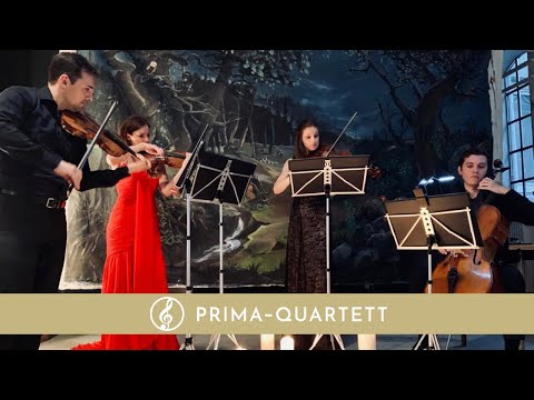 Hochzeitslied: Fields of Gold - Sting | Streichquartett Cover {Live}