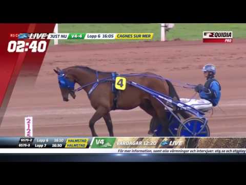 Criterium de Vitesse 2017, Timoko